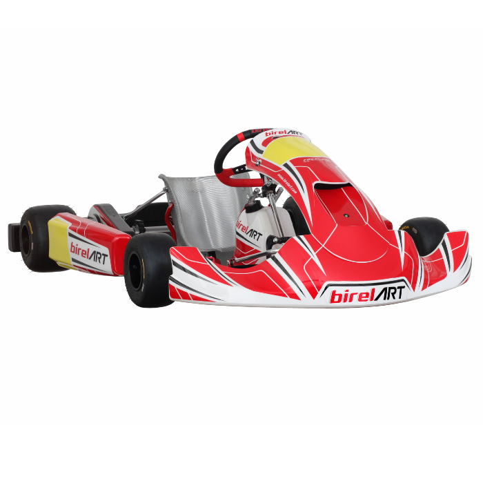noleggio gokart Rotax campania monomarcia